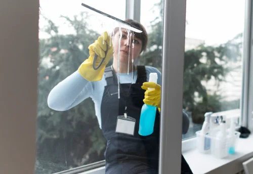 Nettoyage de vitres intérieures et extérieures à Salignac